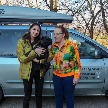 Lägenhet Haus Viktoria Near *