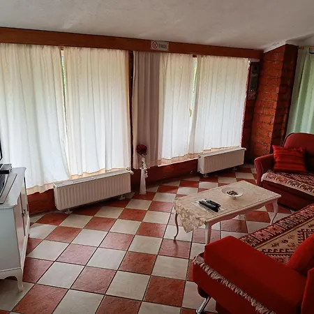 Apartamento Haus Viktoria Near
